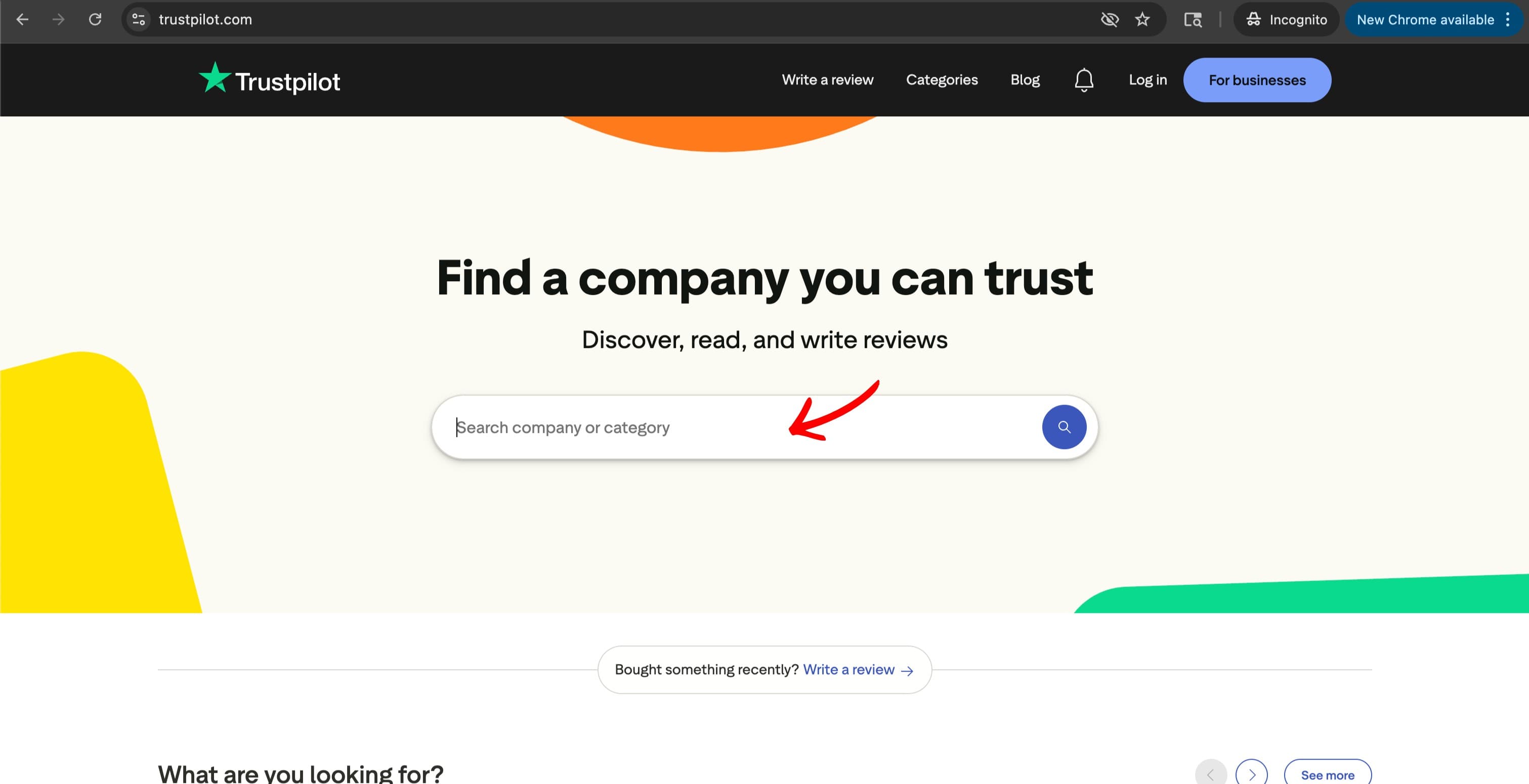 Trustpilot homepage with search field highlighted